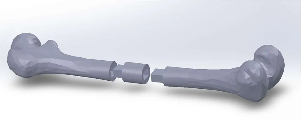 Render del diseño por ordenador (CAD) de un fémur partido en dos piezas que encajan.