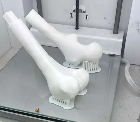 Dos fémures blancos impresos en PLA sobre la plataforma de una impresora 3D.